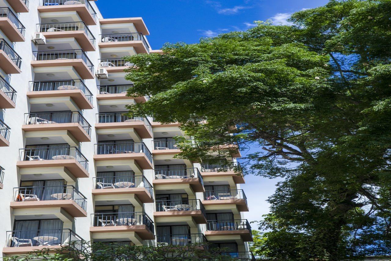 Dorisol Mimosa Studio Hotel 丰沙尔 外观 照片