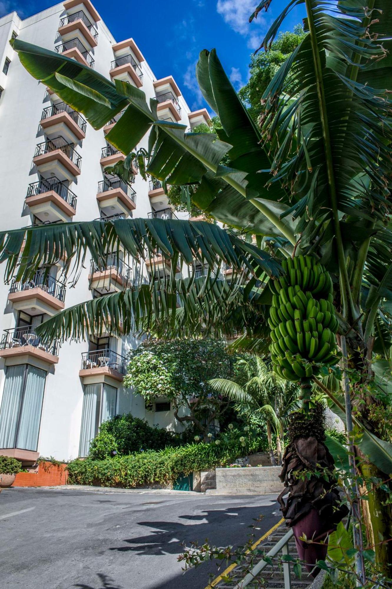 Dorisol Mimosa Studio Hotel 丰沙尔 外观 照片